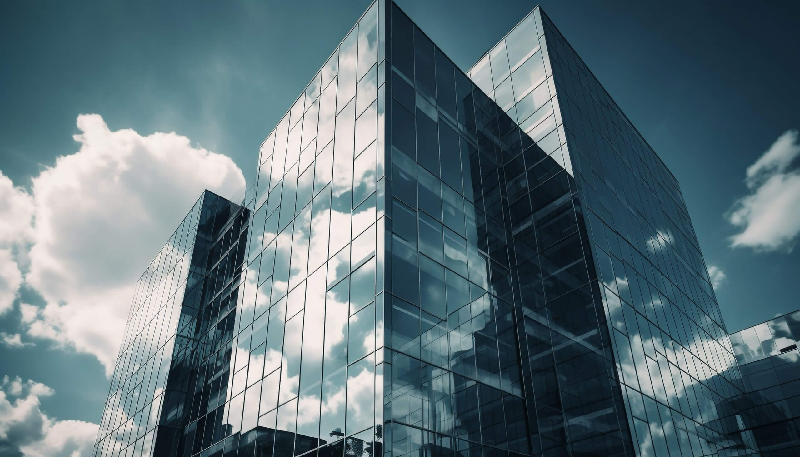 חברה בפולין